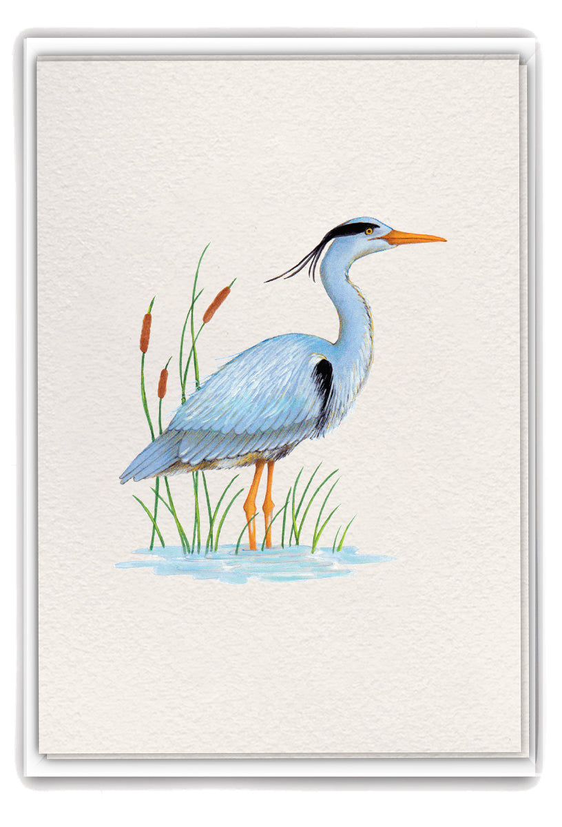 Great Blue Heron boxed notes