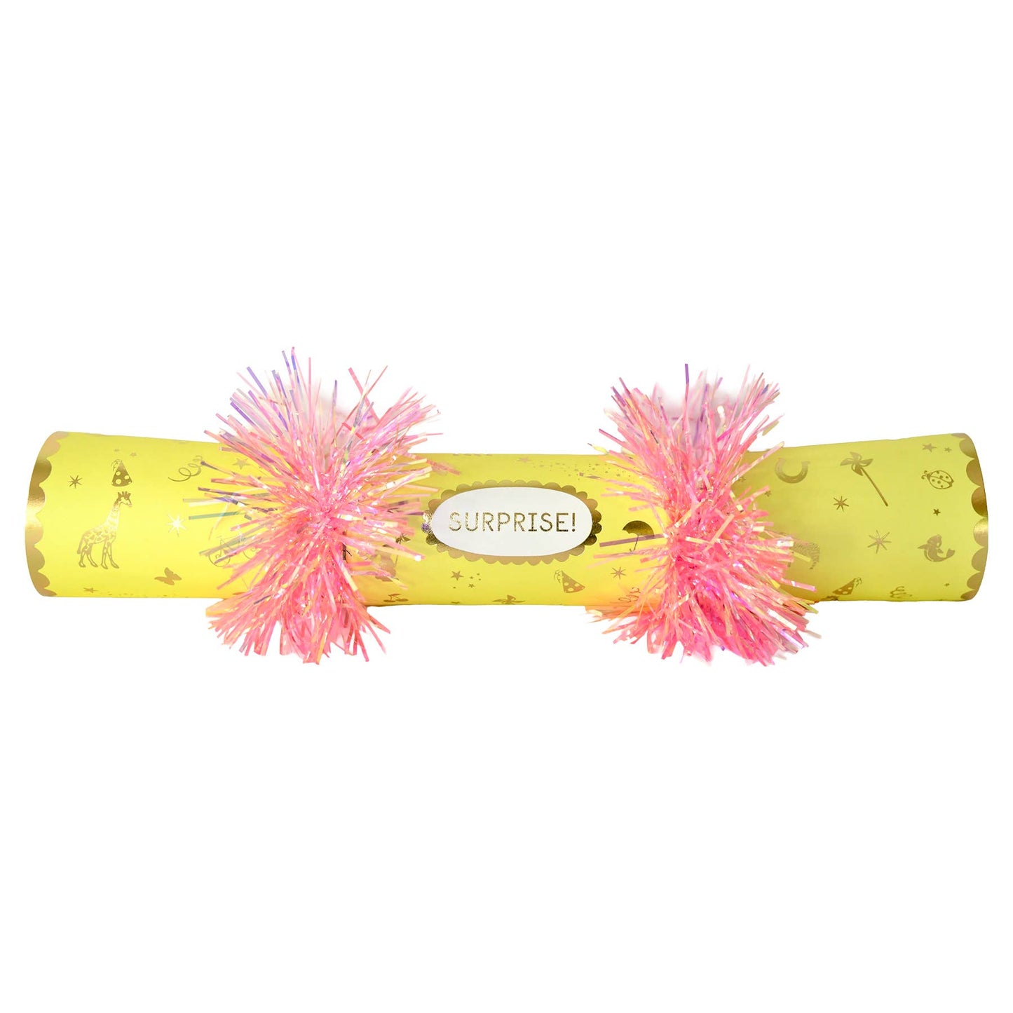 Surprise Crackers - Everyday - Individual