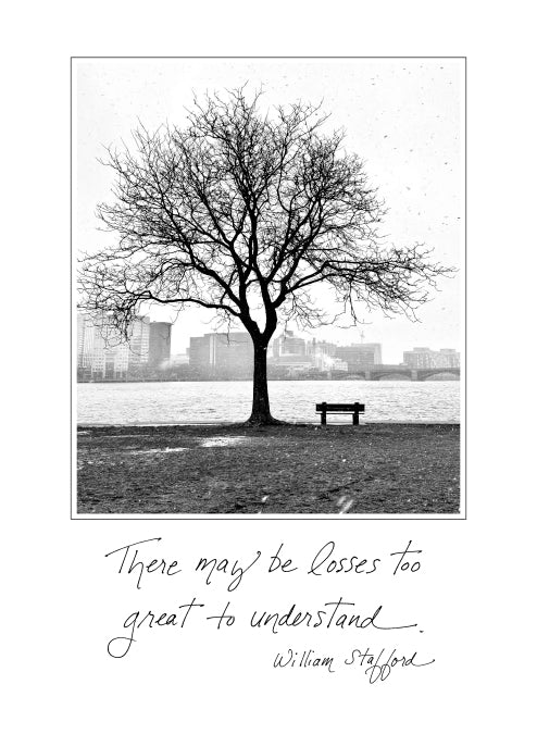 Boston's Winter Sympathy Card