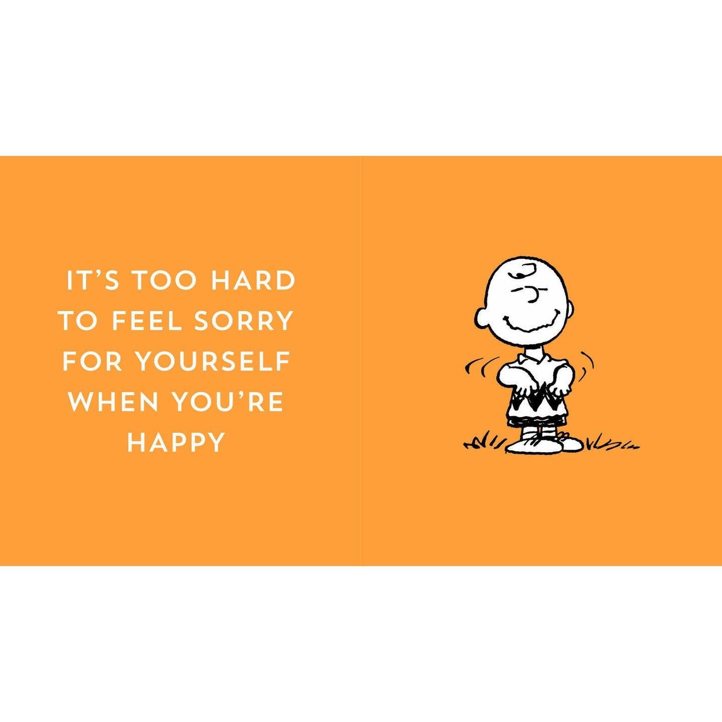 The Peanuts Guide To Happiness