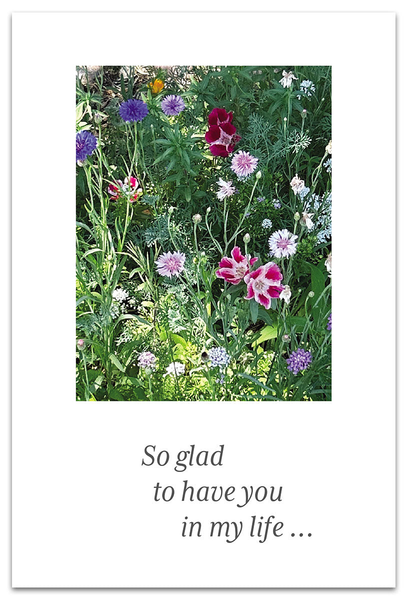 Wildflower Garden card