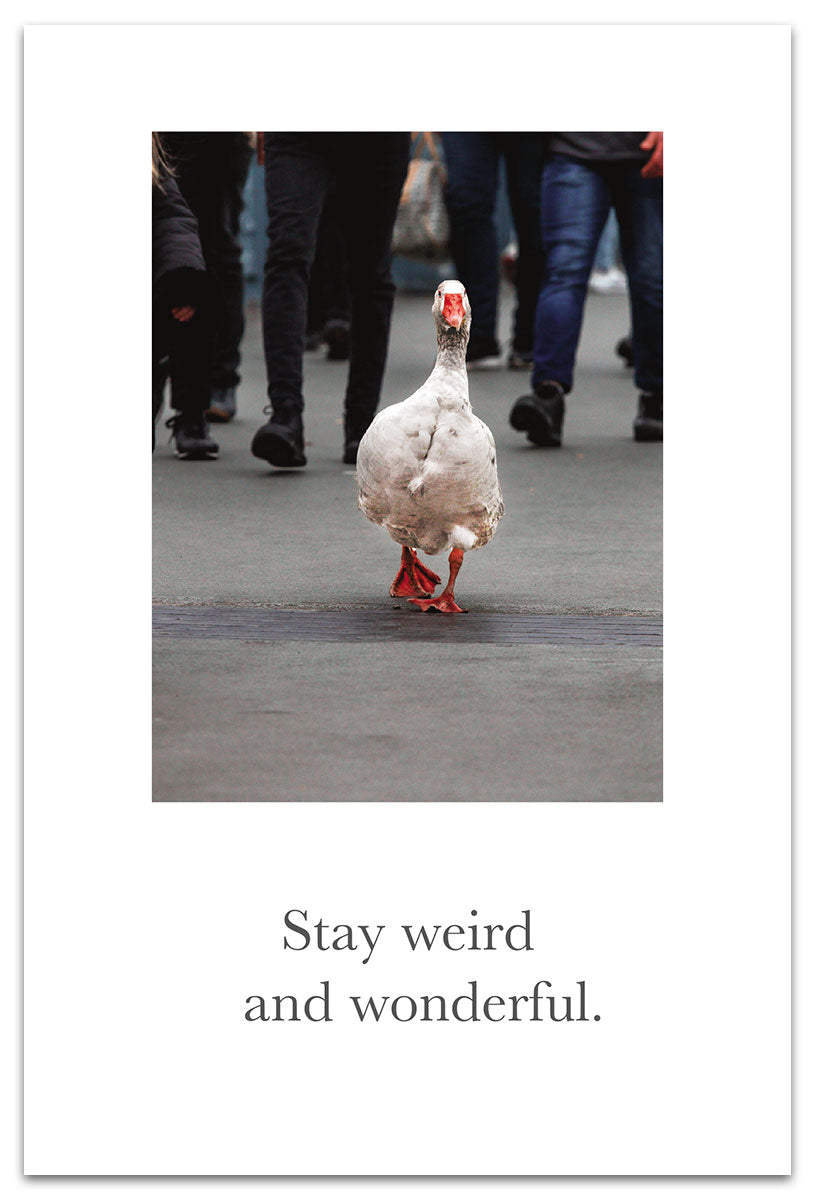 Urban Goose card