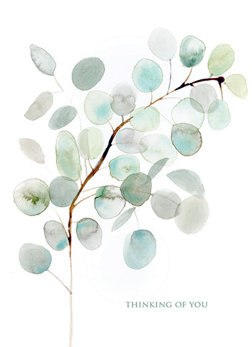EUCALYPTUS Sympathy Greeting Card