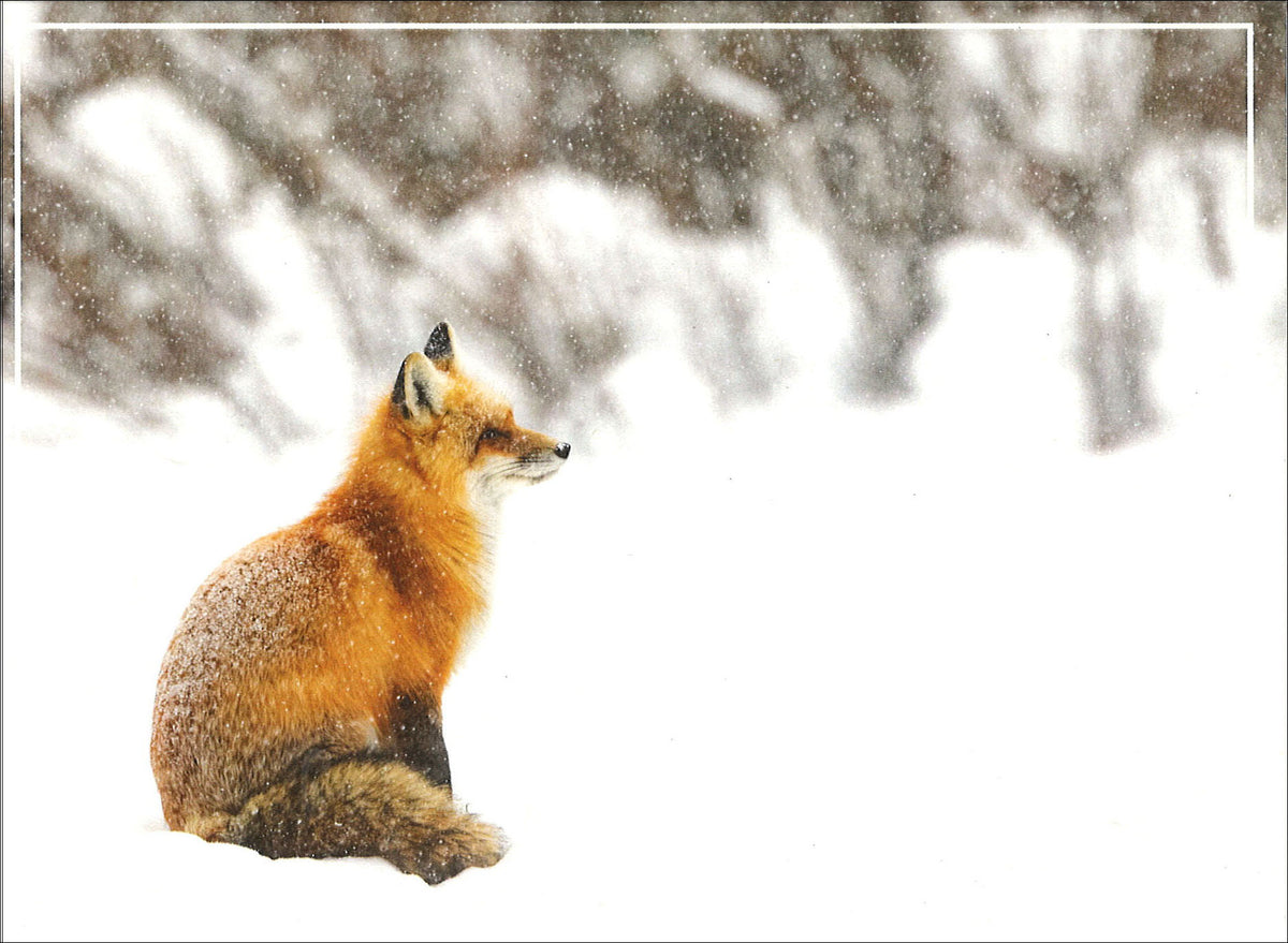 WINTER DAY DREAMING HOLIDAY CARD