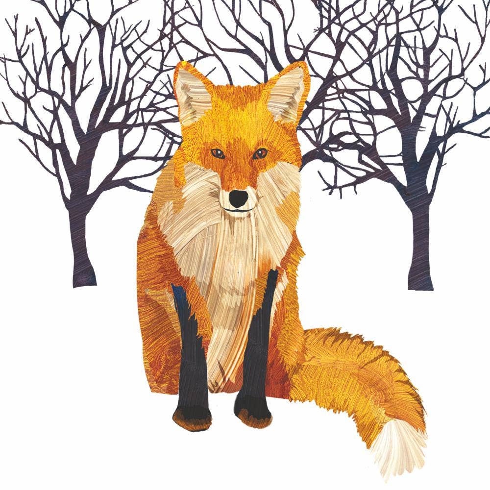 BEV- WINTER FOX