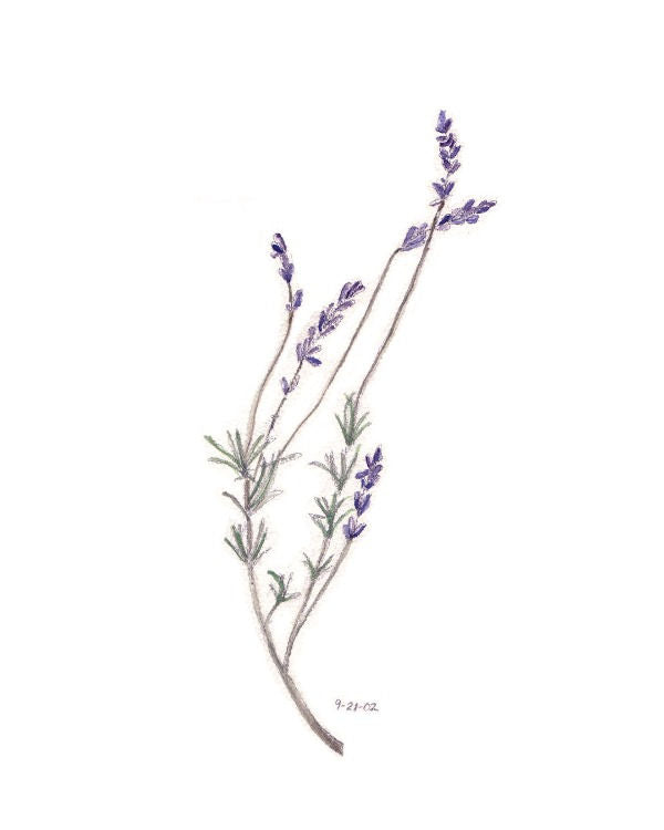 Lavender Notecard