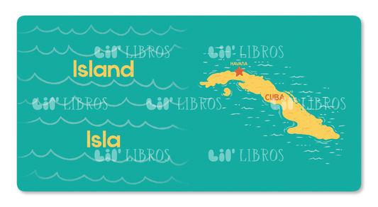 The Life of / La vida de Celia (Bilingual: English and Spanish)