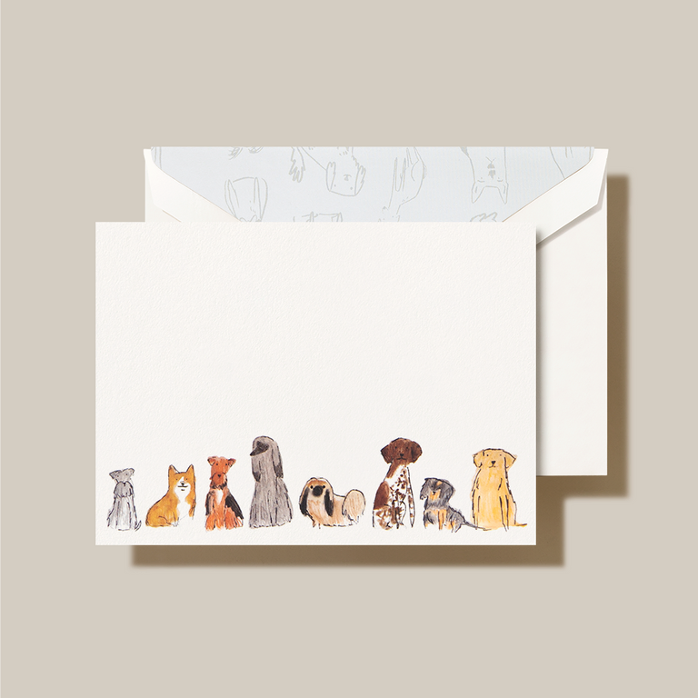 Dogs Note on Pearlwhite