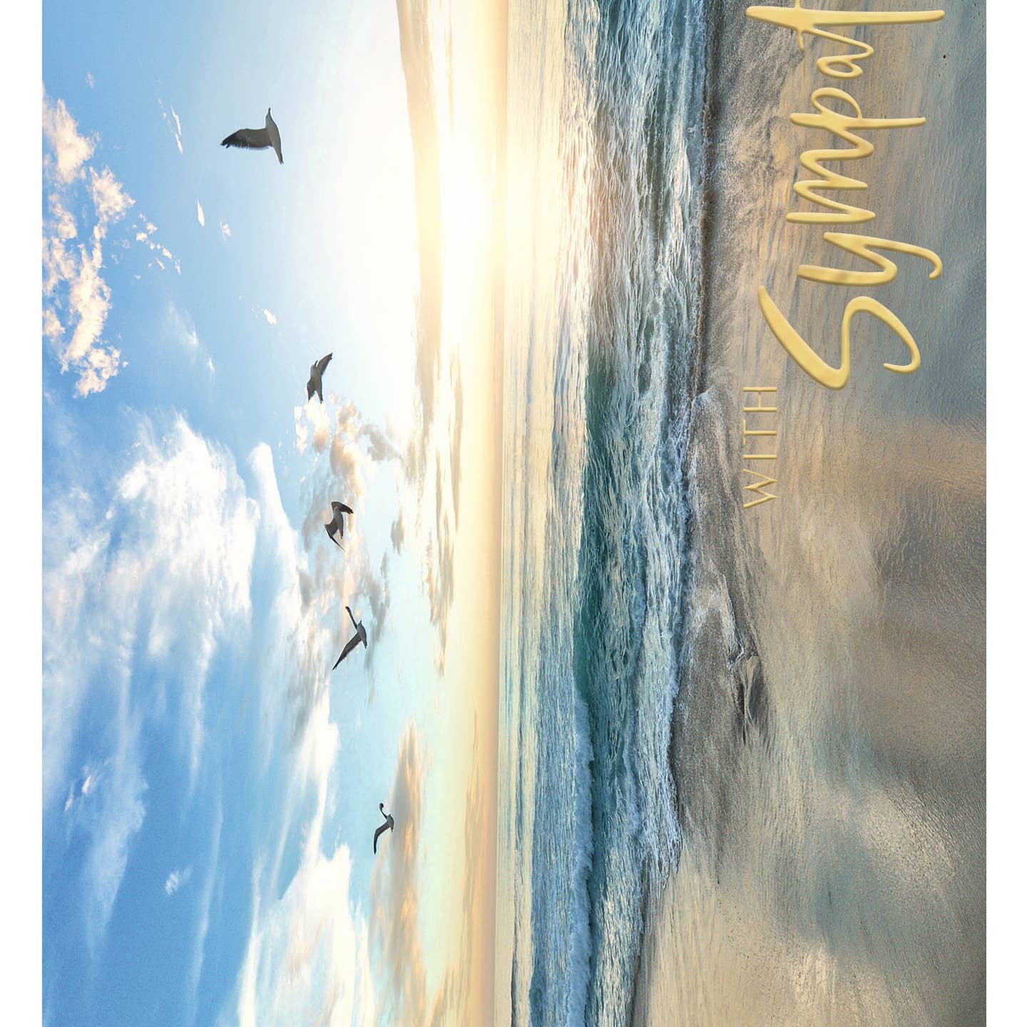Sympathy Beach Gulls Greeting Card