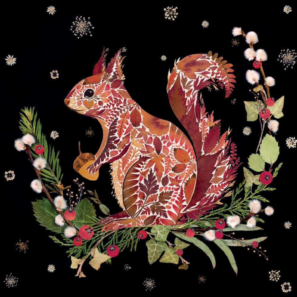 Festive Squirrel Boxed Cards