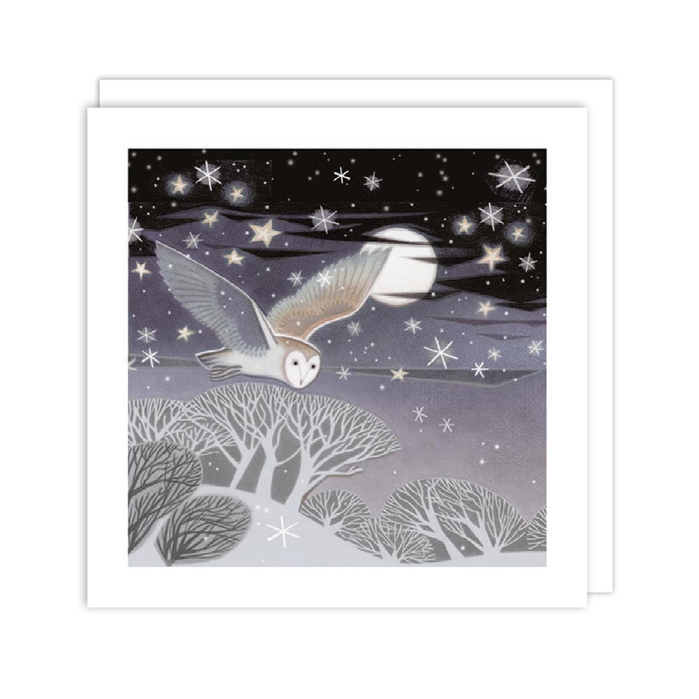 Moonlight Flight Christmas Boxed Cards