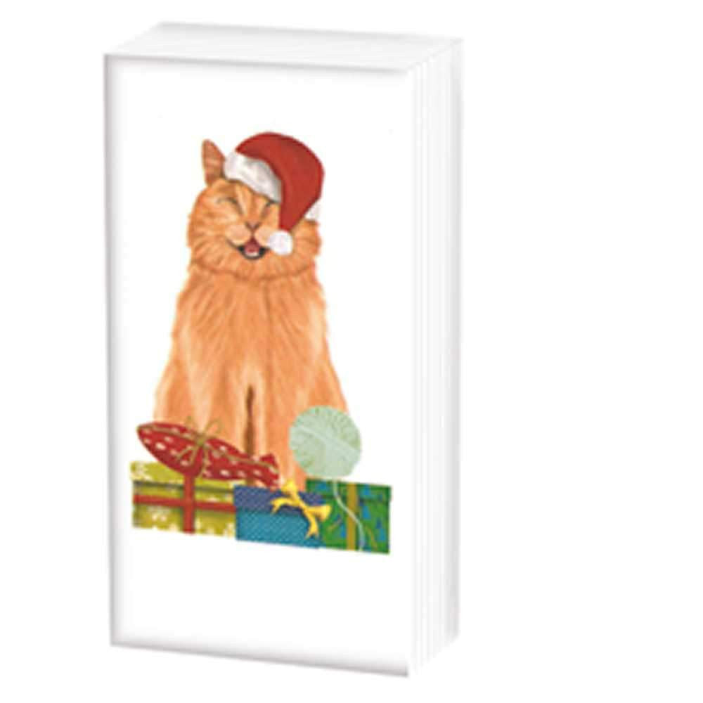 Cat & Cadeaux Sniffs