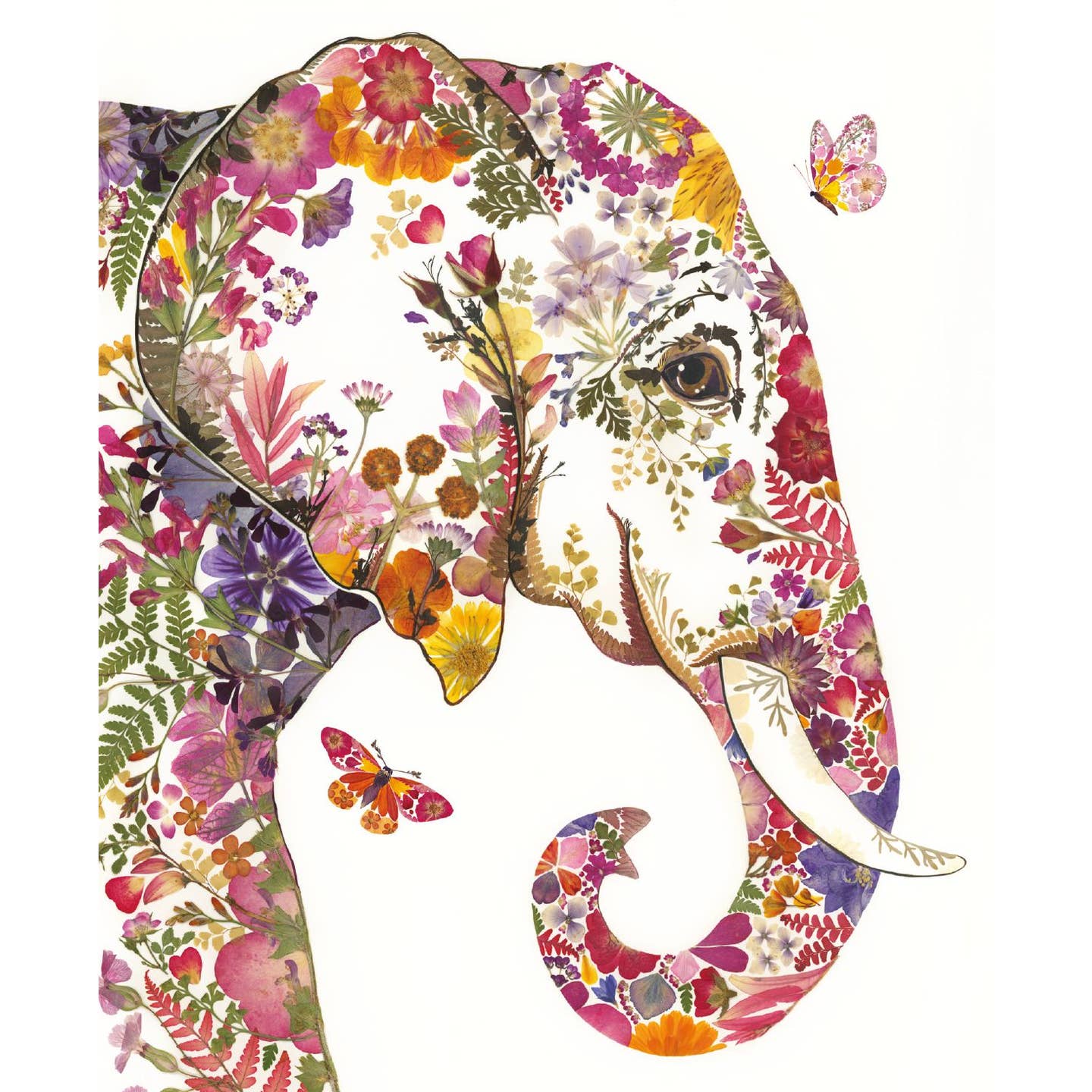 Blank Greeting Card Wild Press Petal Elephant