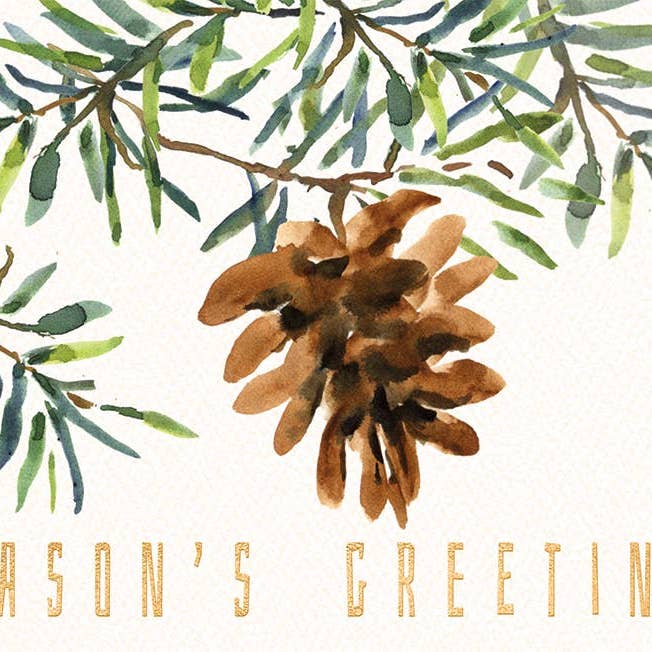 Fresh Pine Holiday Boxed Greeting Cards 4.5 X 6.25"