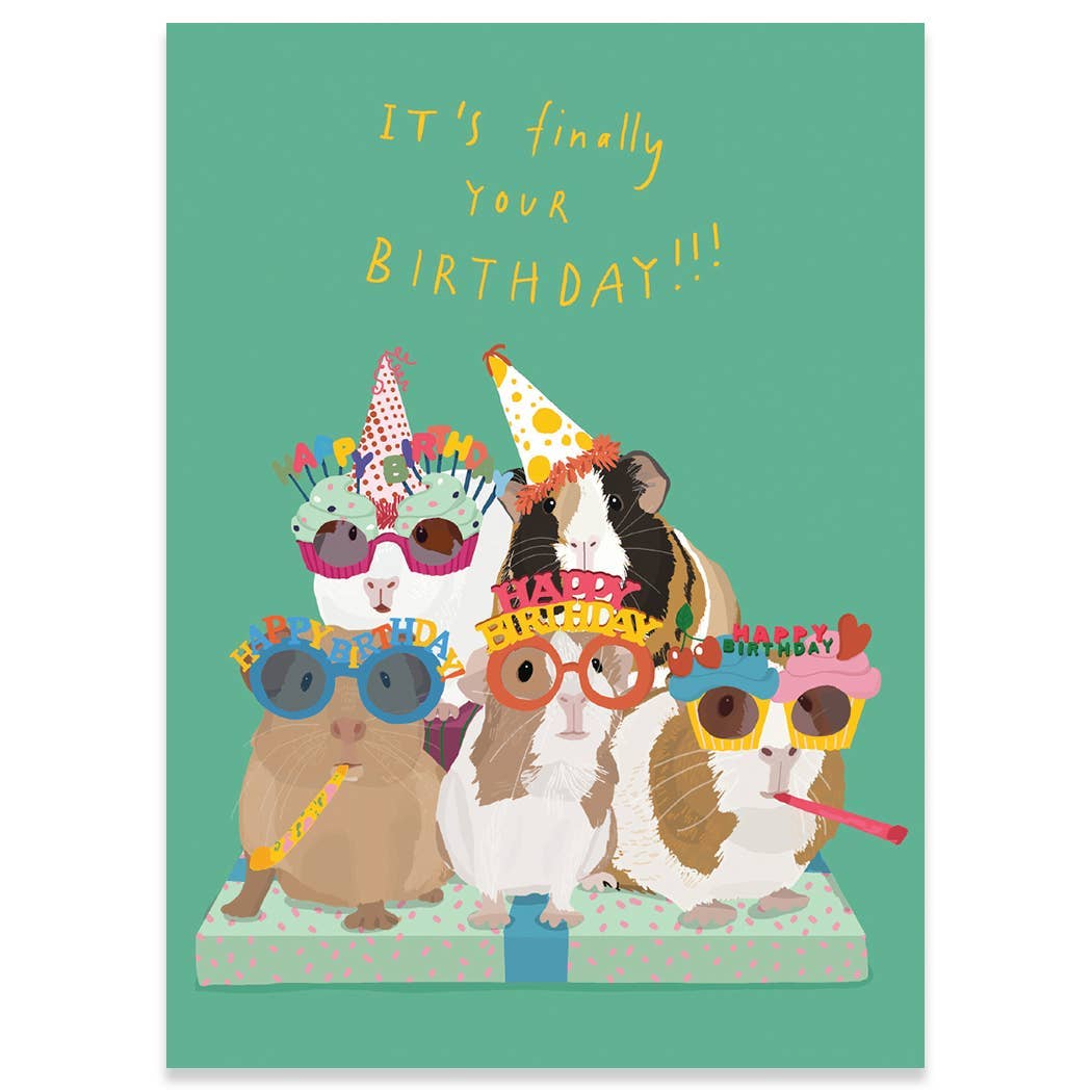 Guinea Pig Party Birthday Greeting Card