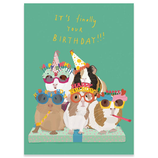 Guinea Pig Party Birthday Greeting Card