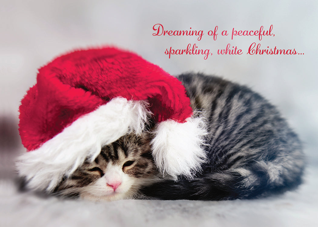 Sleeping Santa Kitty Greeting Card