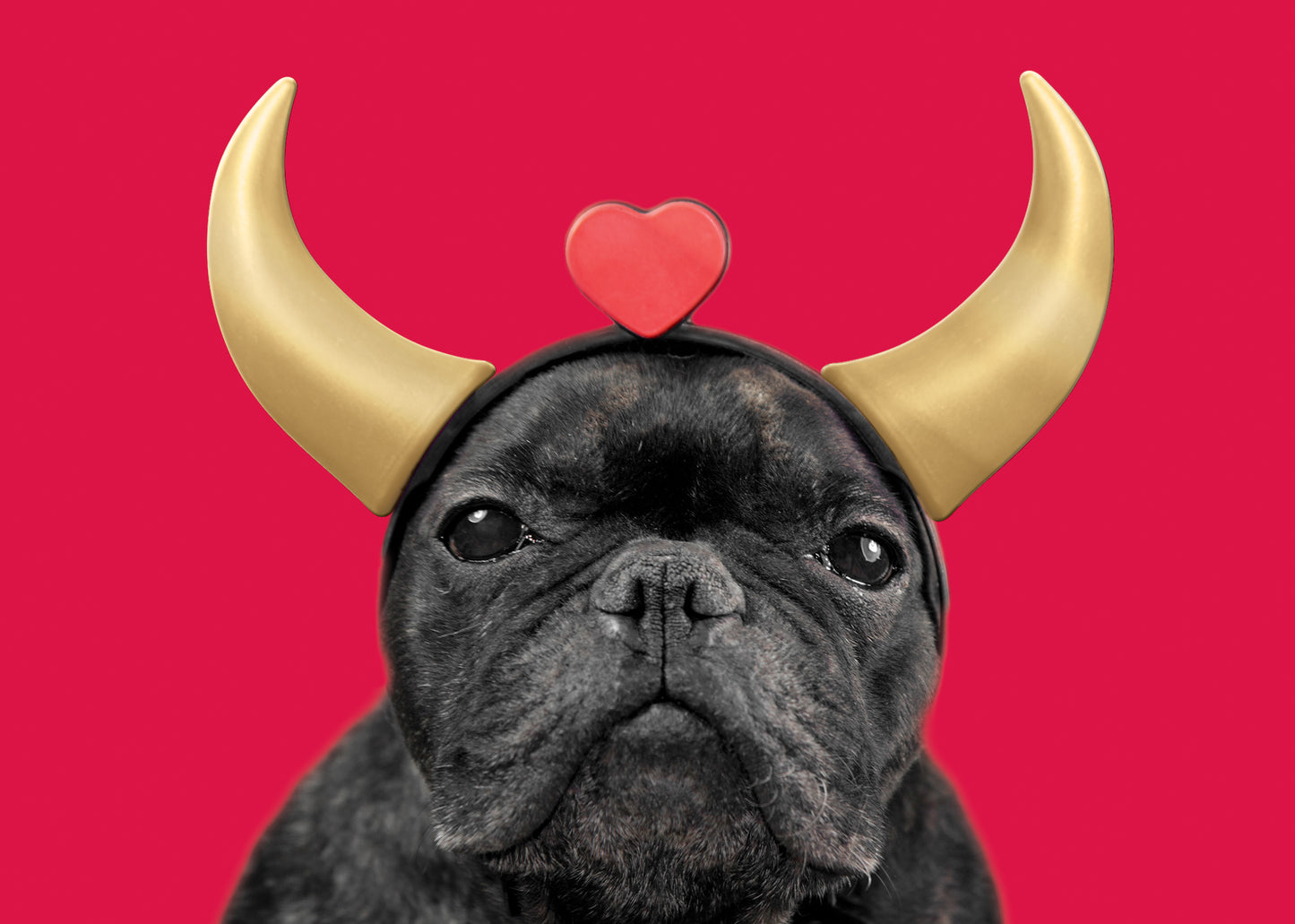 Love Devil Pug Greeting Card