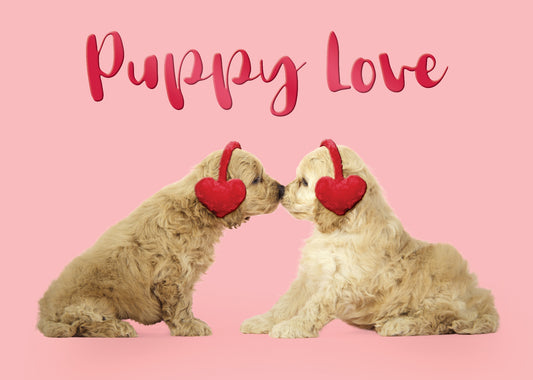 Puppy Love Nose Smooch Greeting Card