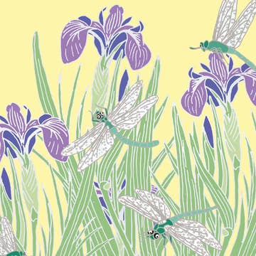 Stationery Box of 20 Cards Sq Flowers Bloom Emily Burningham