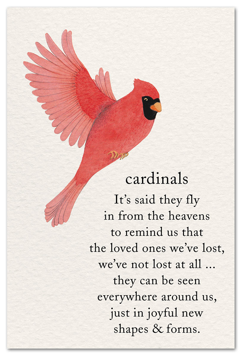 Flying cardinal card