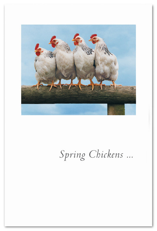 Spring Chickens card