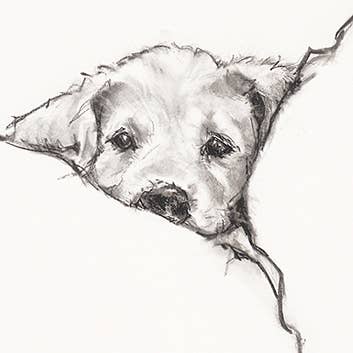 Dog in Bed Get Well Greeting Card 4.5 X 6.25"