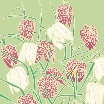 Stationery Box of 20 Cards Sq Flowers Bloom Emily Burningham