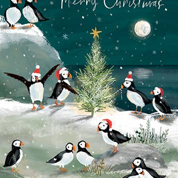 Puffins Holiday Greeting Card 4.5 X 6.25"
