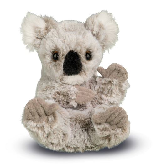 Lil’ Baby Koala