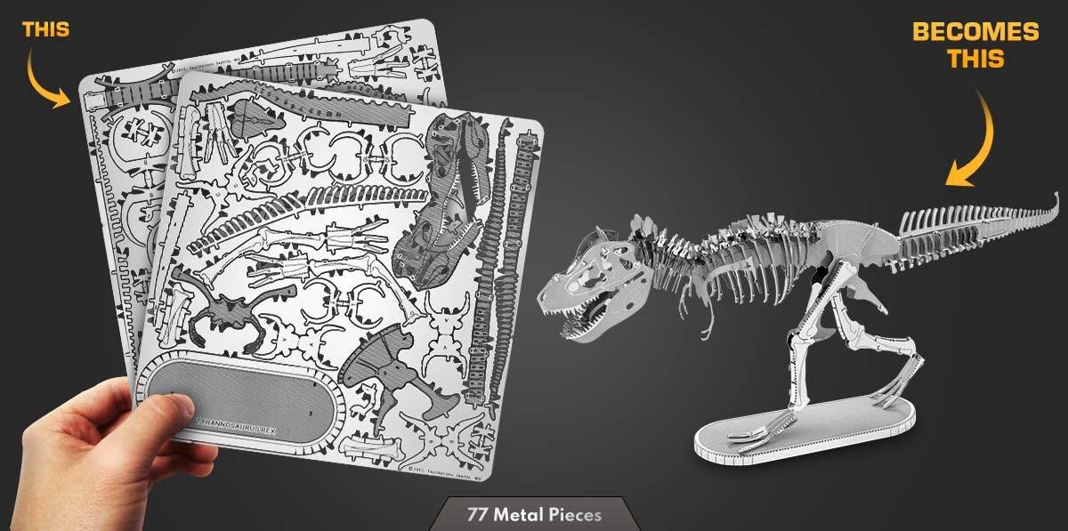 Tyrannosaurus Rex Skeleton