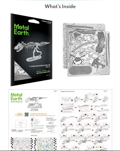 Tyrannosaurus Rex Skeleton