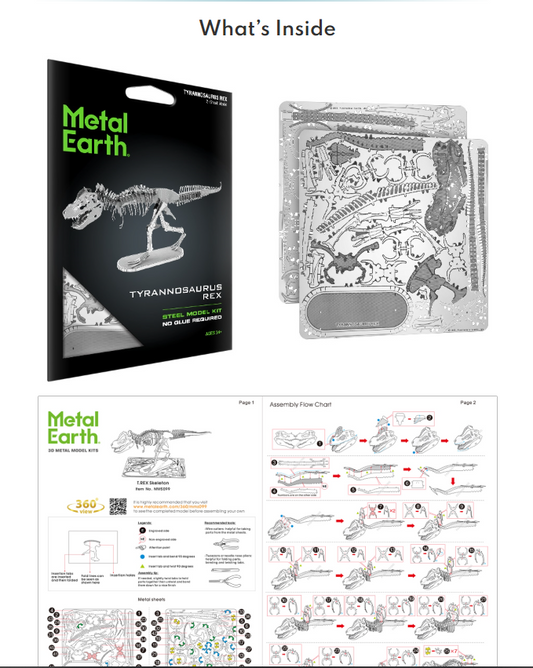 Tyrannosaurus Rex Skeleton