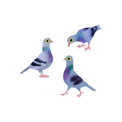 Pigeon Pals Tattoo Pair