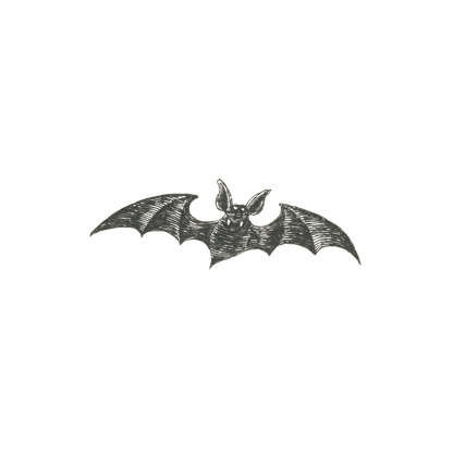 Vampire Bat Tattoo Pair EG