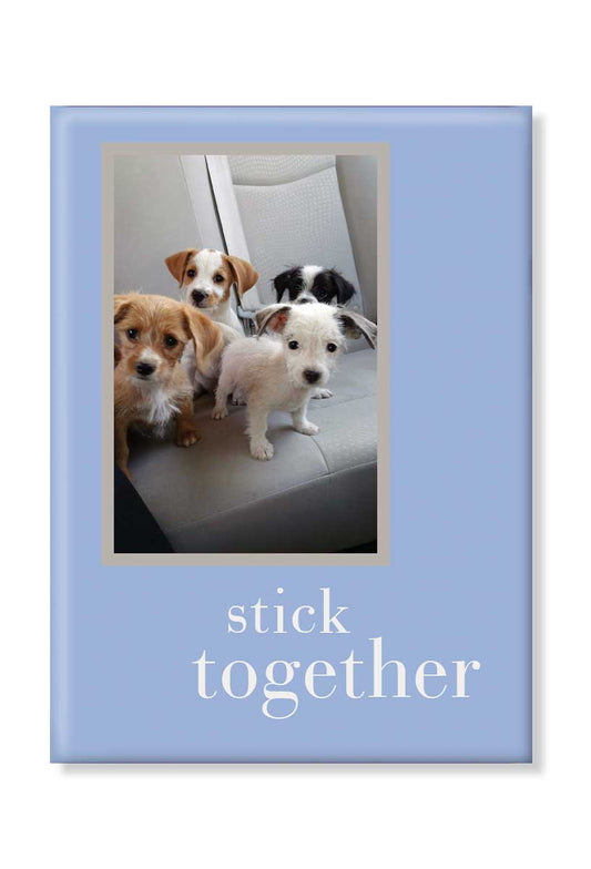 Four Rescue Pups magnet