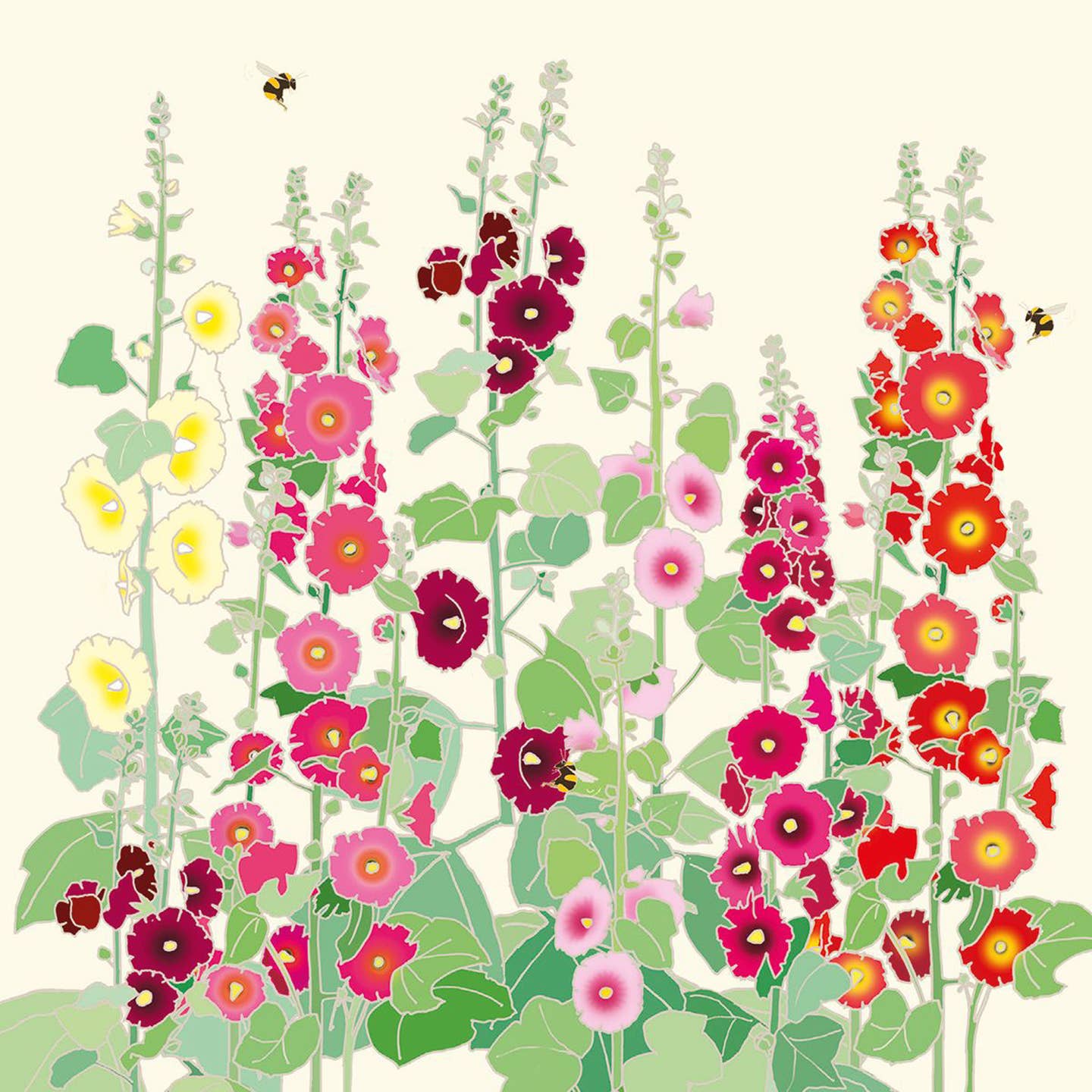 Stationery Box of 20 Cards Sq Flowers Bloom Emily Burningham