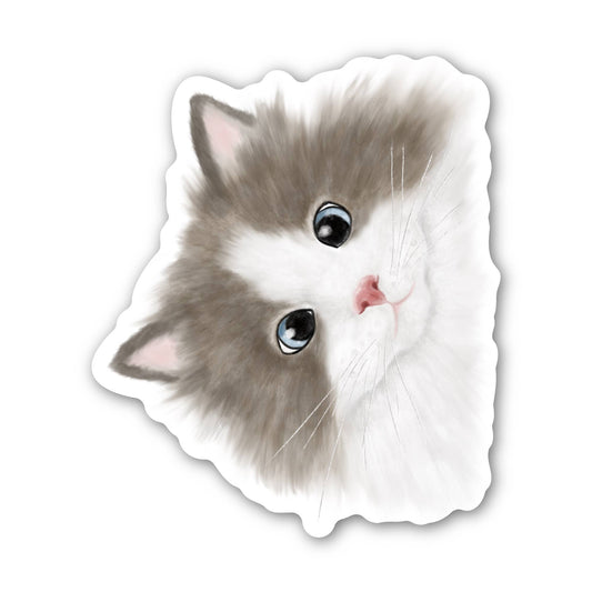 Peeping Cat Sticker