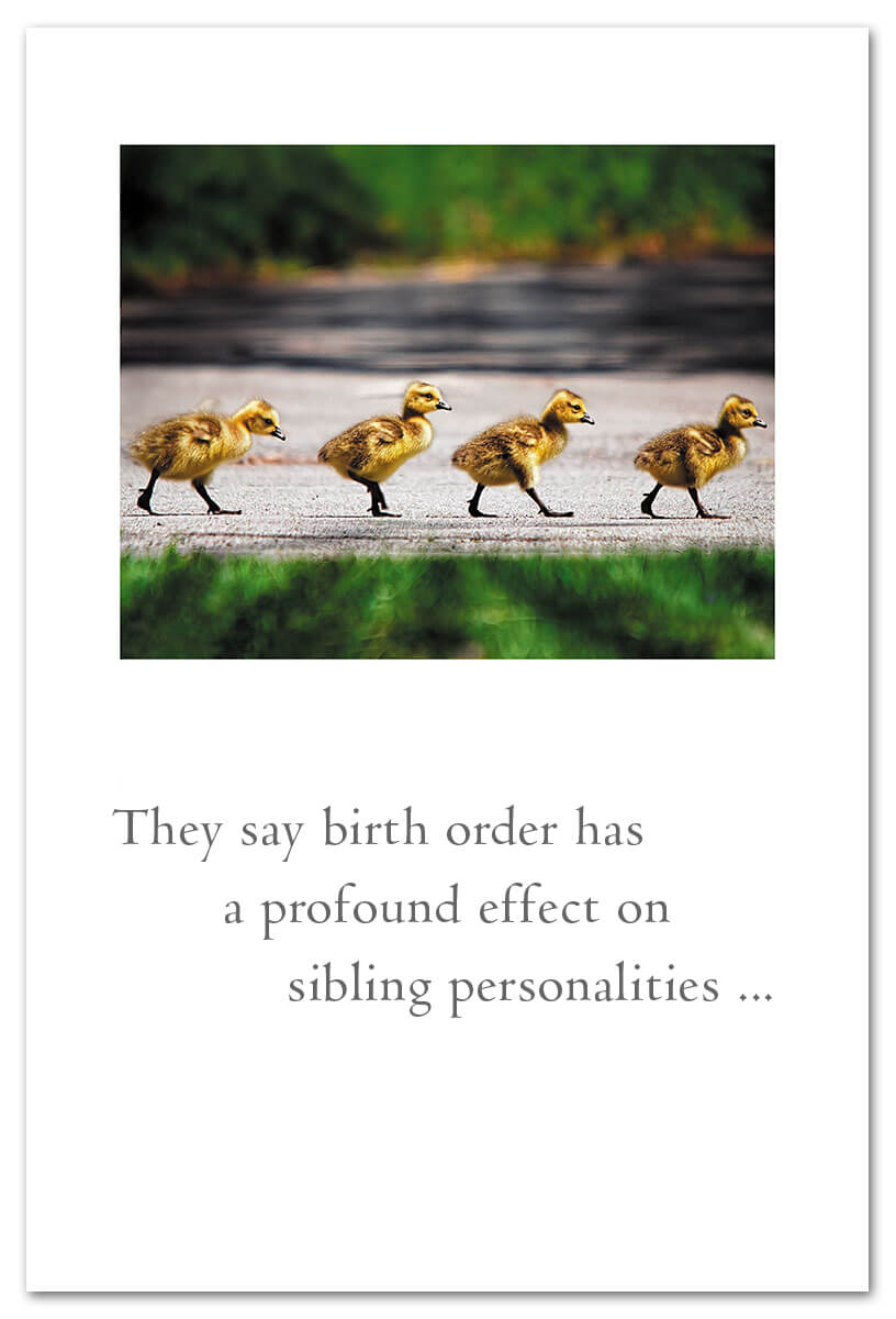 Duckling Convoy Family card