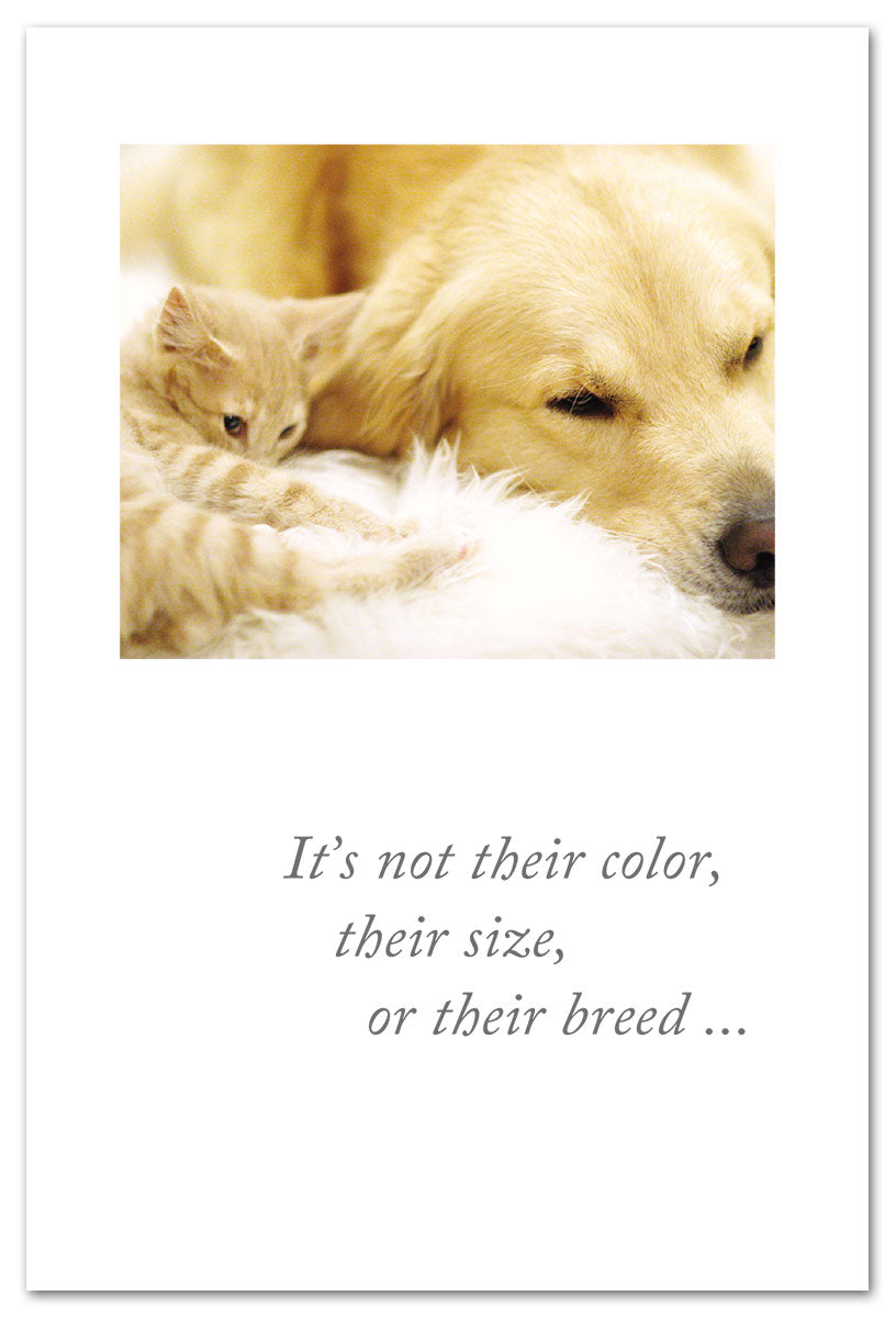 Curled White Cat & Dog card