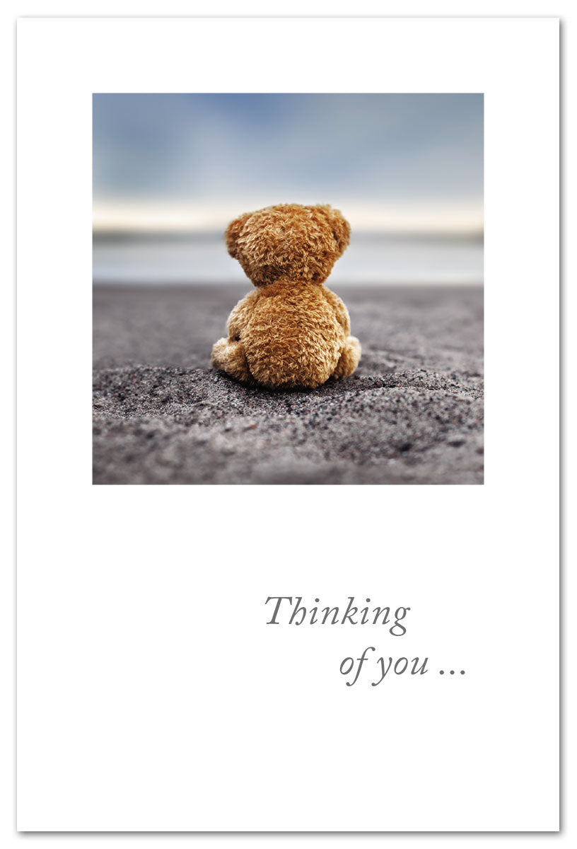 Beached Teddy Bear card