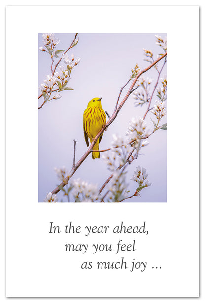 Yellow Warbler card