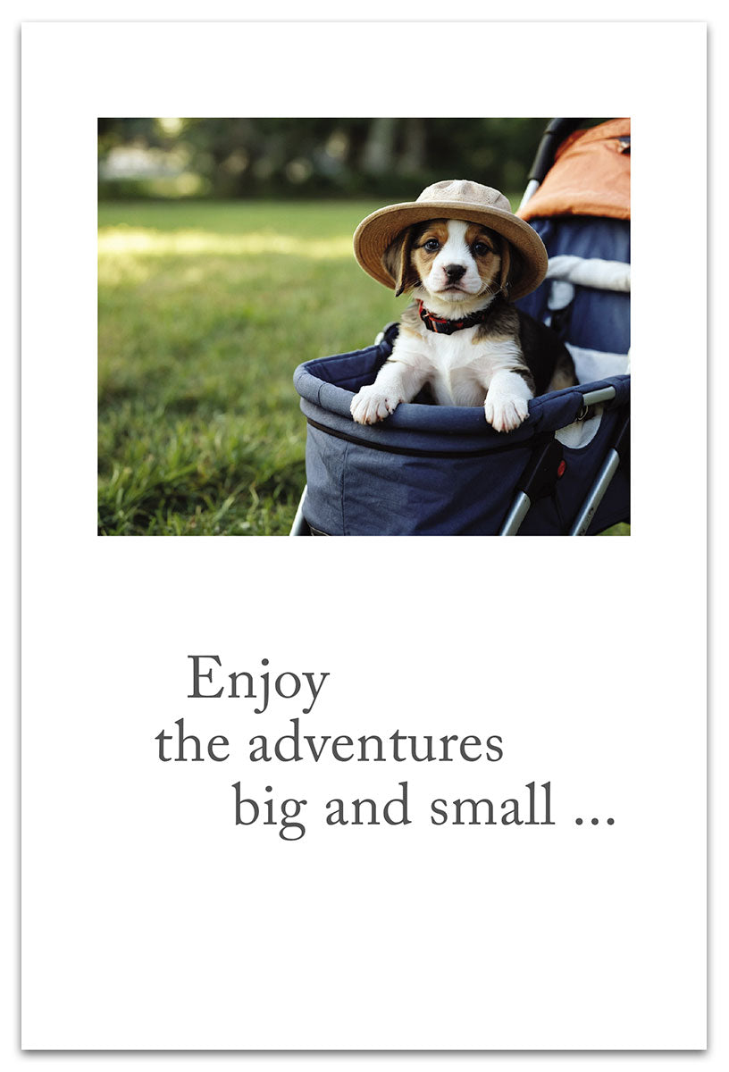 Puppy In Stroller card