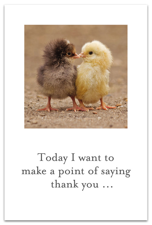 Two Chicks card