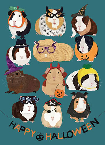 GUINEA PIG HALLOWEEN