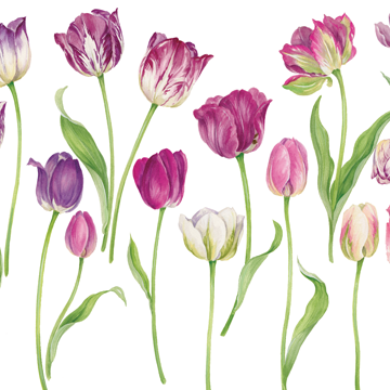 Easter Tulips Easter Greeting Card