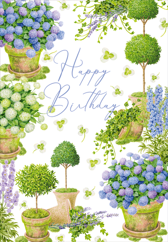Potted Hydrangeas Birthday Card