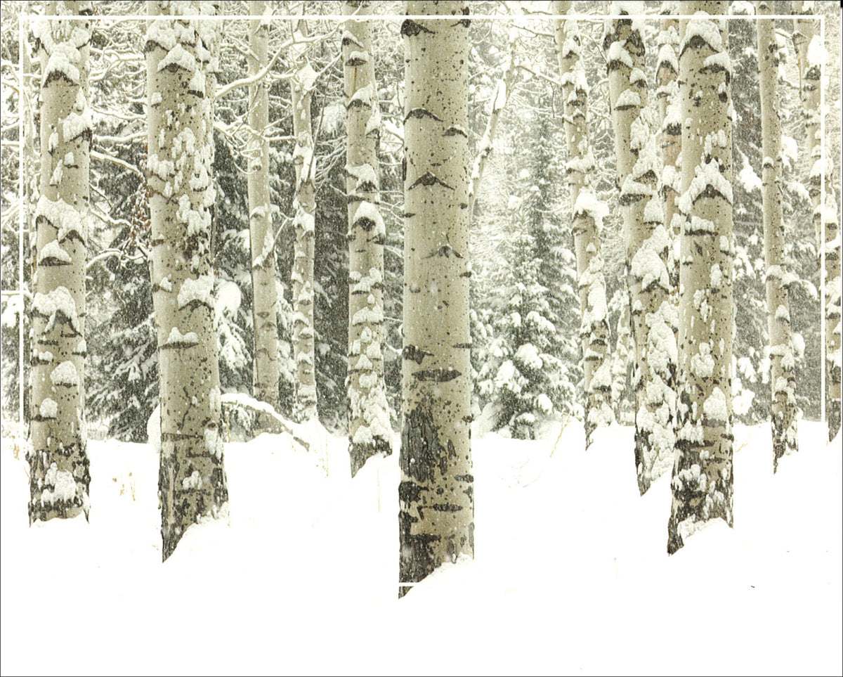 Aspen Snow Holiday Card