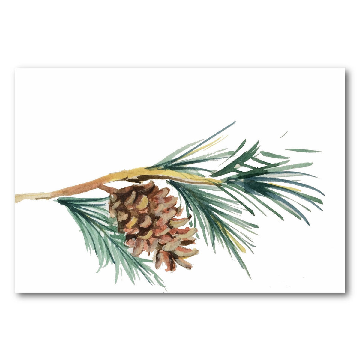 Note Card, Pinecone