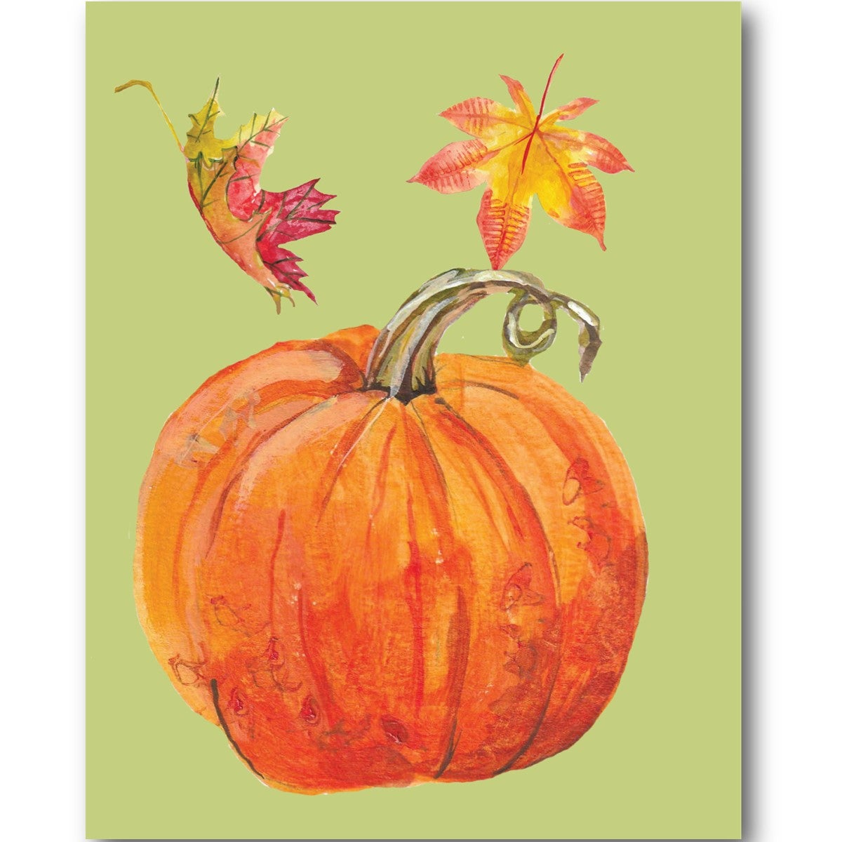 Autumn Harvest Note Card Set